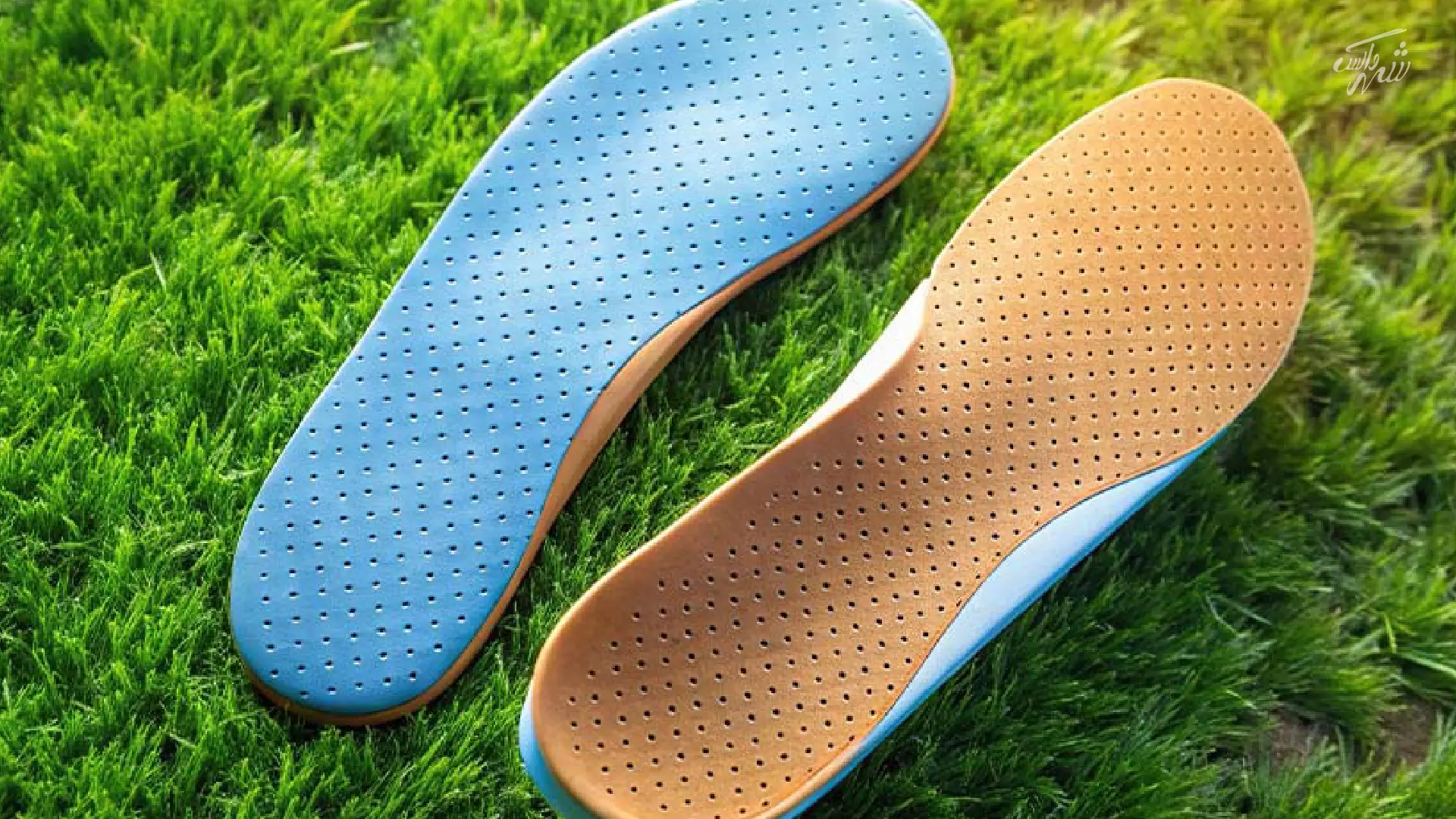 کفی عرق گیر کفش