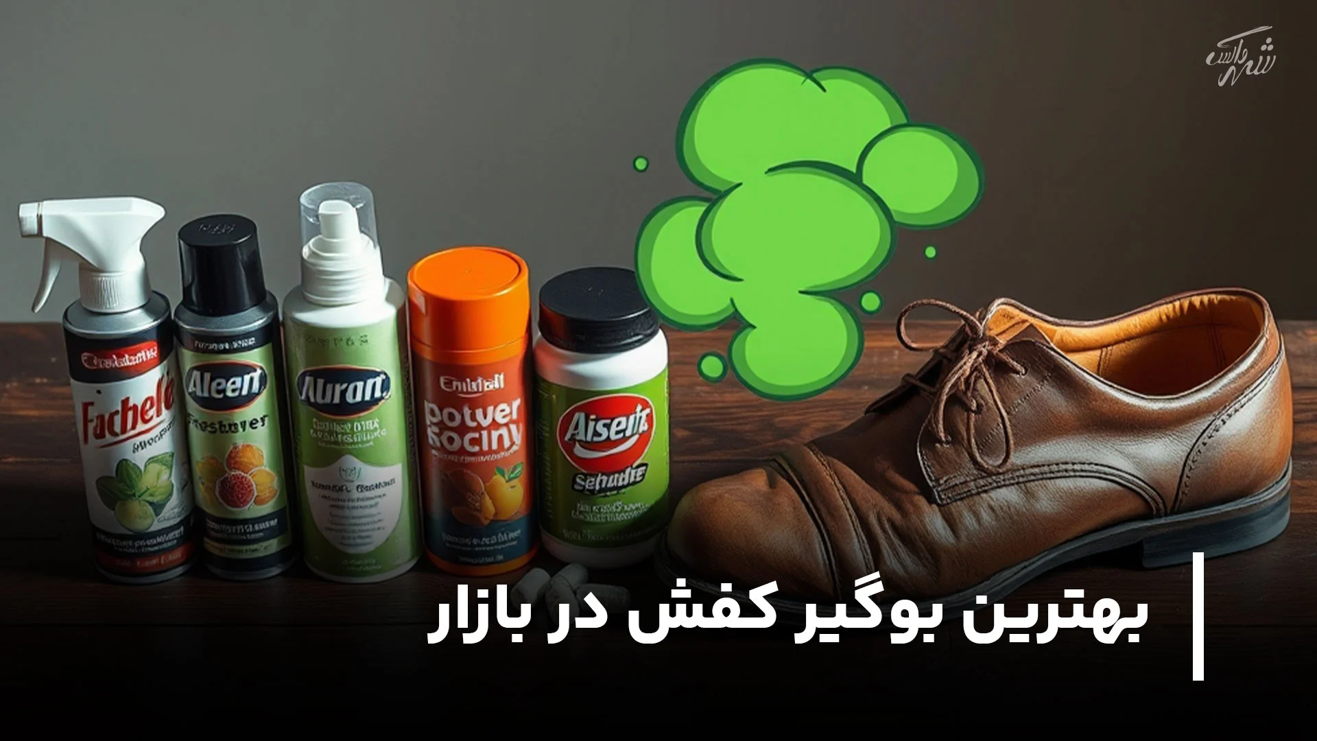 بهترین بوگیر کفش