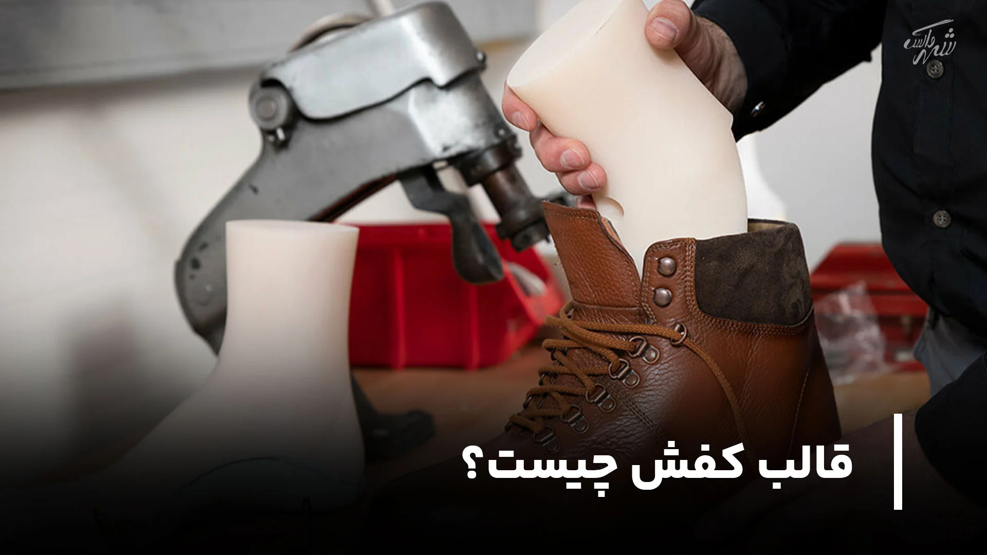 قالب کفش چیست؟