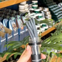 بند کفش گرد آبی نفتی کد ۶۶ – مقاوم و مناسب کفش روزمره