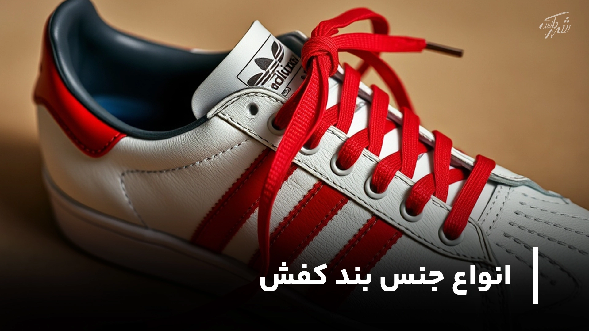 انواع بند کفش