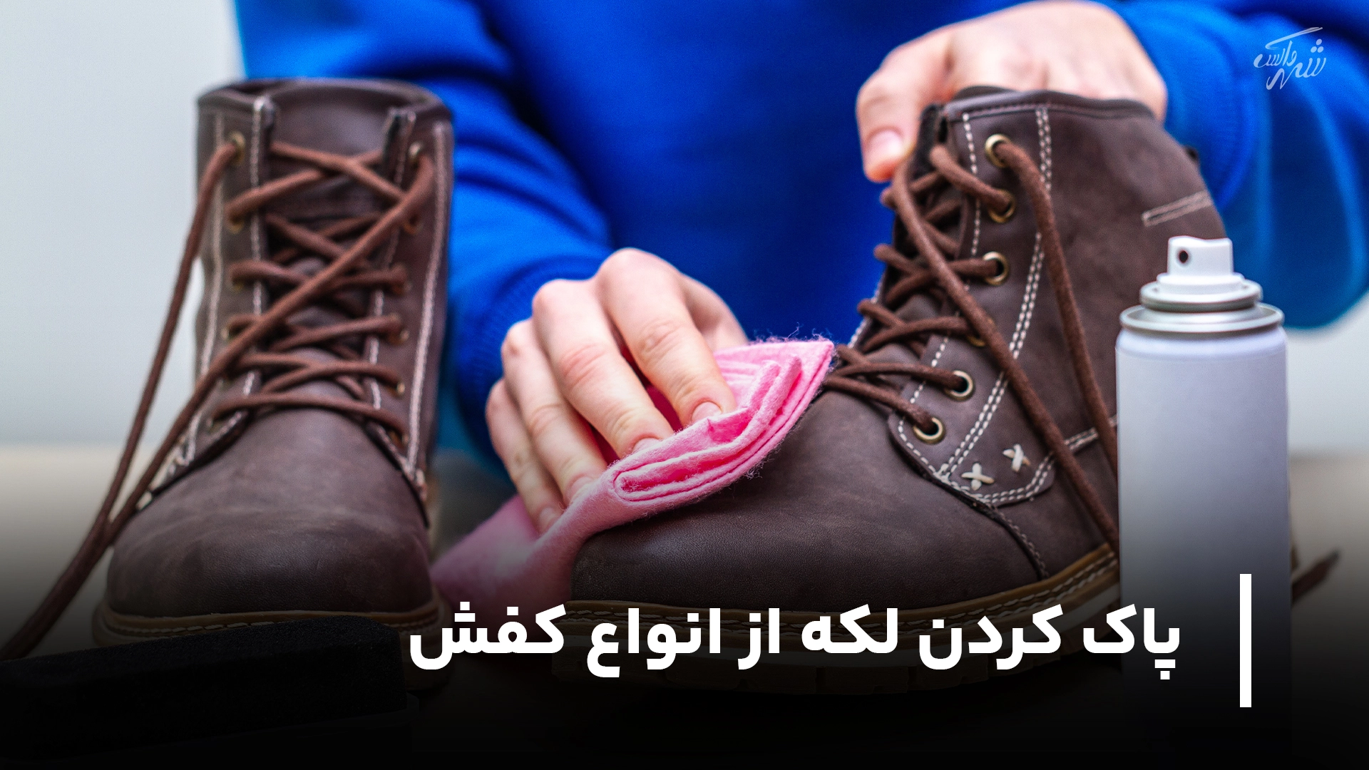 پاک کردن لکه‌ از انواع کفش
