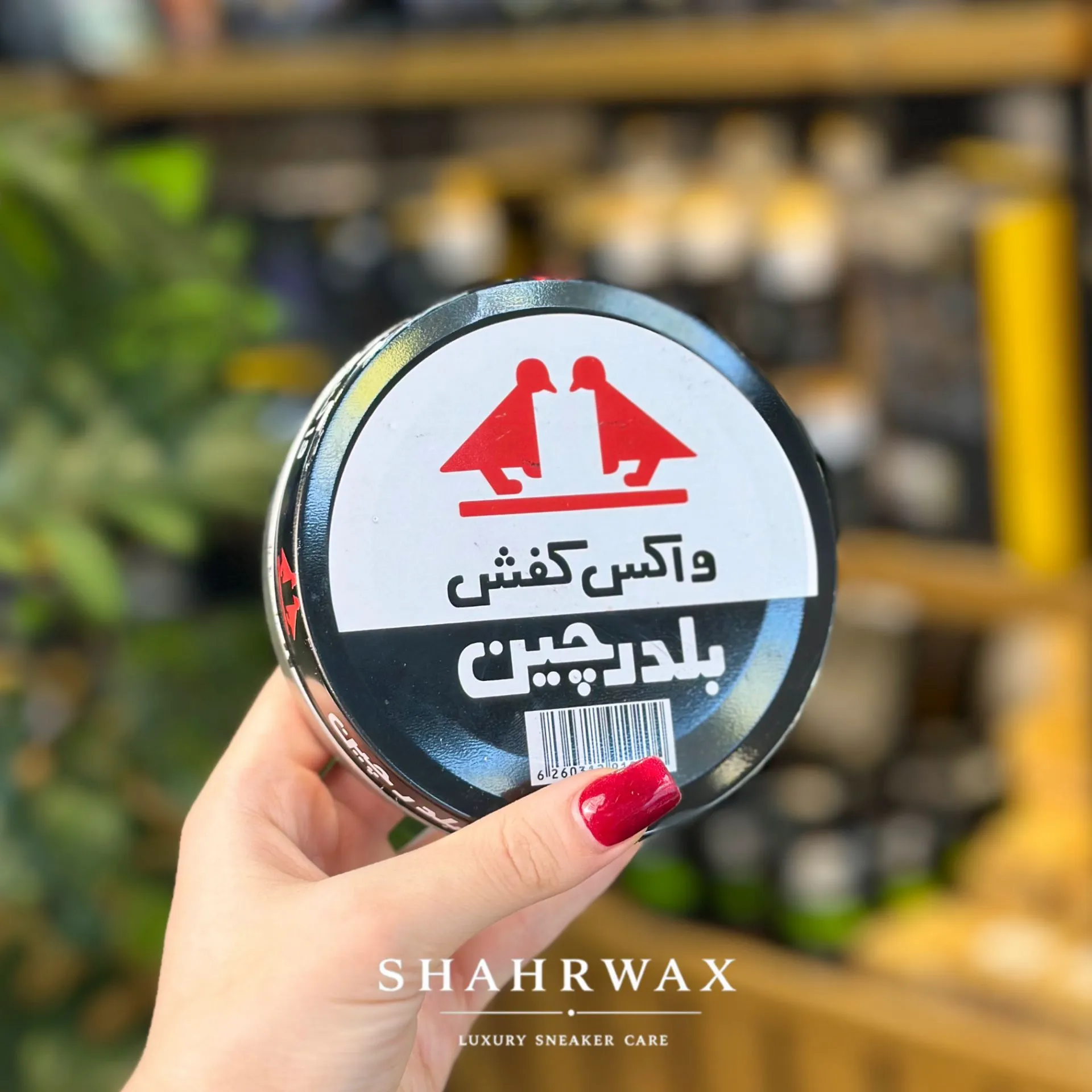 واکس کفش بلدرچین بزرگ