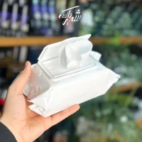 دستمال تمیزکننده کفش و کتونی BOLGANO