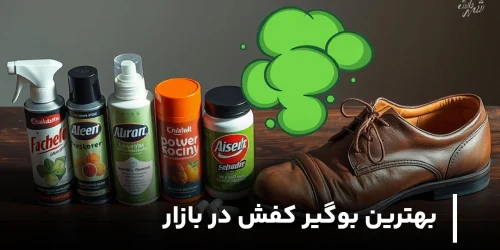 بهترین بوگیر کفش