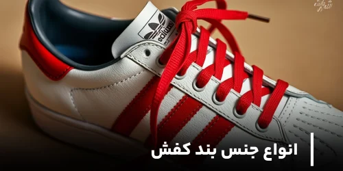انواع بند کفش