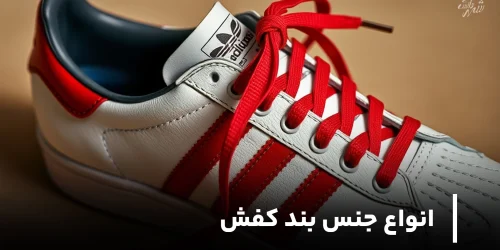 انواع بند کفش