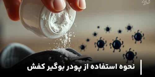 نحوه استفاده از پودر بوگیر کفش