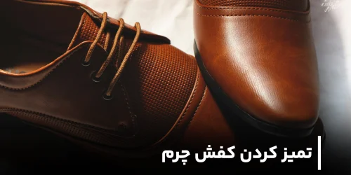 تمیز کردن کفش چرم قهوه ای