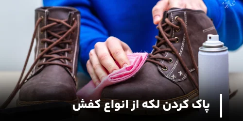 پاک کردن لکه‌ از انواع کفش