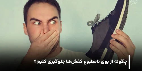 کفی کفش بوگیر